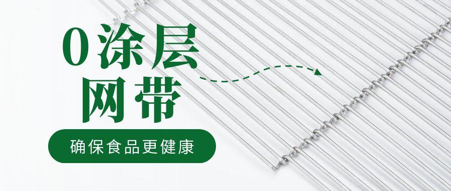油炸機(jī)網(wǎng)帶“0 涂層”工藝，確保食品更健康