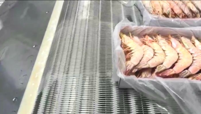 不銹鋼網帶 不銹鋼網帶