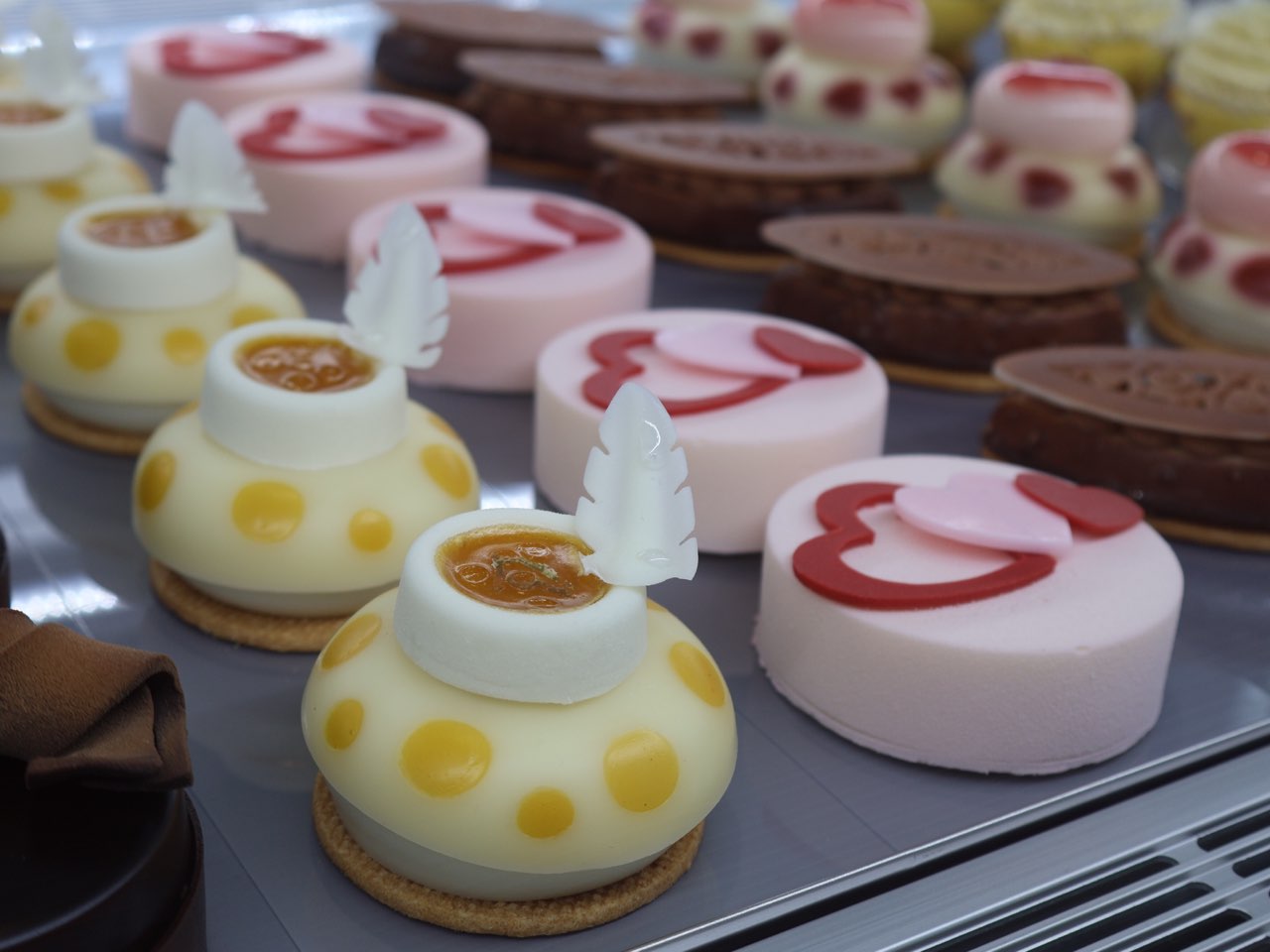 1717403185565752.jpg 1717403185565752.jpg